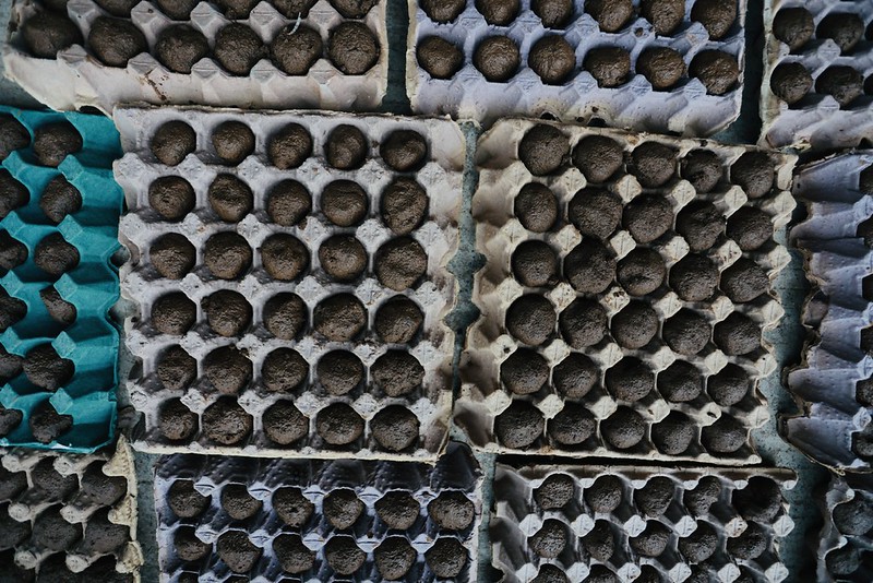 Proyectan dispersar 250 mil Bombas de Vida durante el temporal de lluvias
