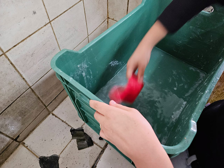 Secretaría de Salud, sin registro de afectaciones por agua sucia