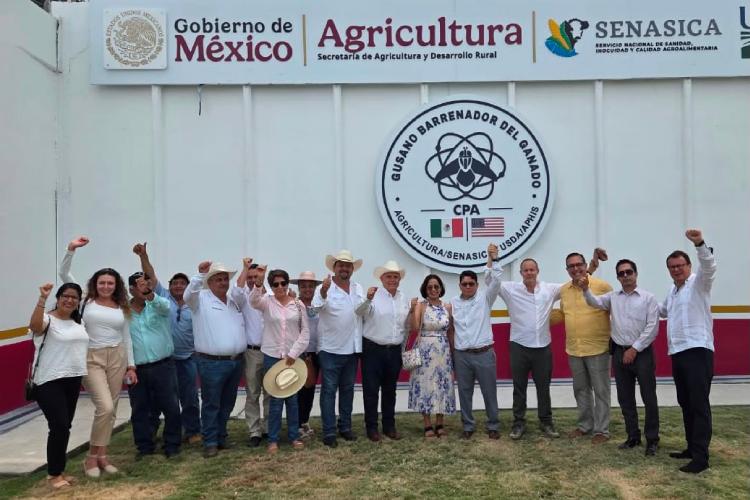 Ganaderos urgen reabrir frontera con Estados Unidos