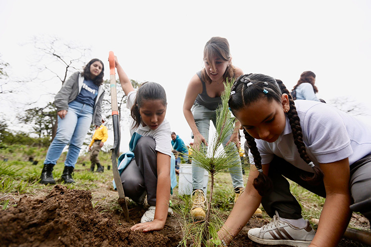 Suman 30 grupos a reforestación de Primavera