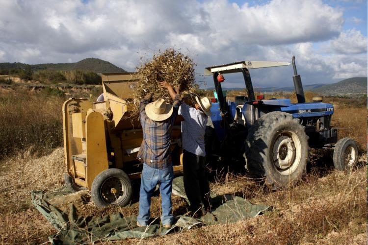 Cartera vencida de Jalisco aumenta 25 por ciento