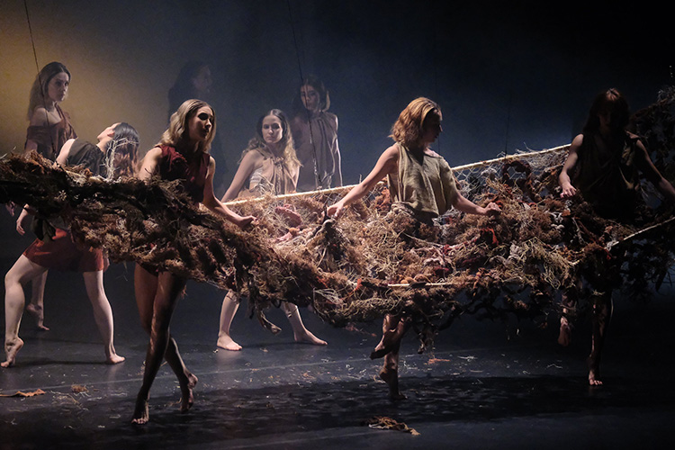 Impulsan la danza 
