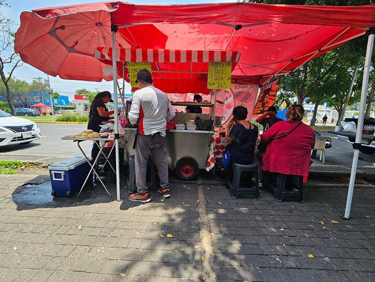 Jalisco, con 10 intoxicaciones alimentarias bacterianas al día