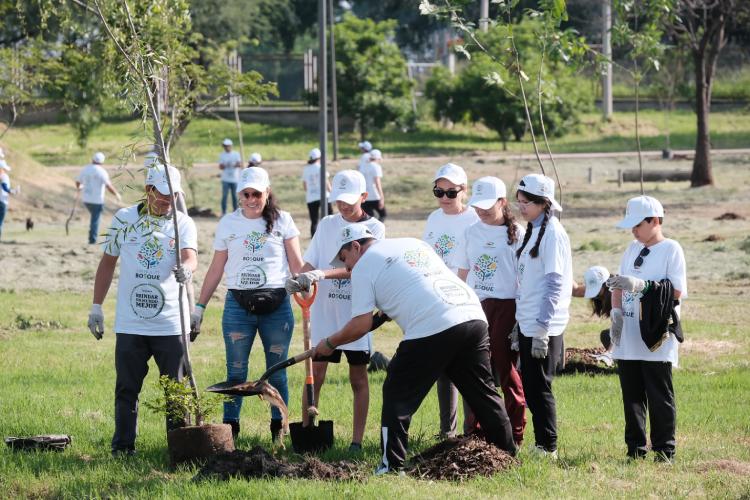 Inicia AMBU jornada de arborización en el Parque Luis Quintanar