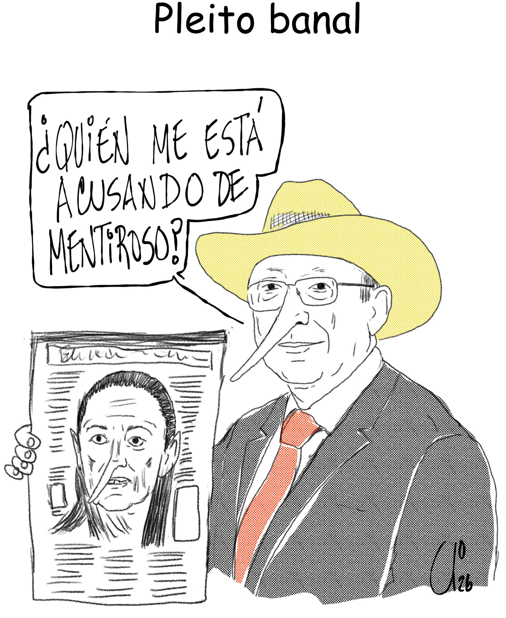 Pleito banal