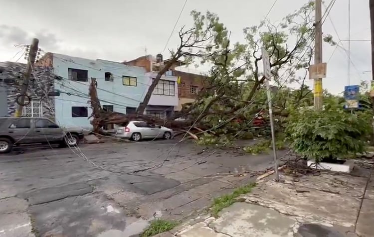 Suma Guadalajara casi 10 mil acciones preventivas por temporal
