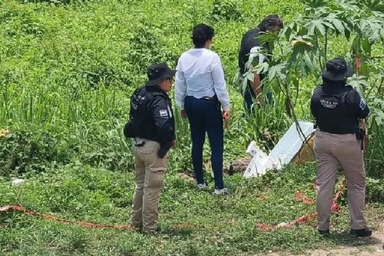 Localizan cuerpo de hombre entre la maleza en Vallarta