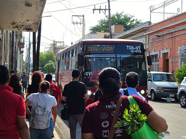 El 60% reprueba a TP en las ciudades