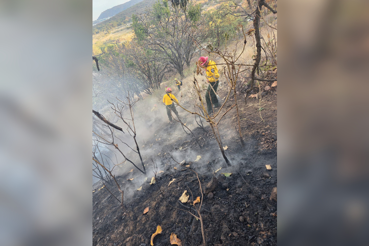 La Primavera, con 32 incendios en 2026