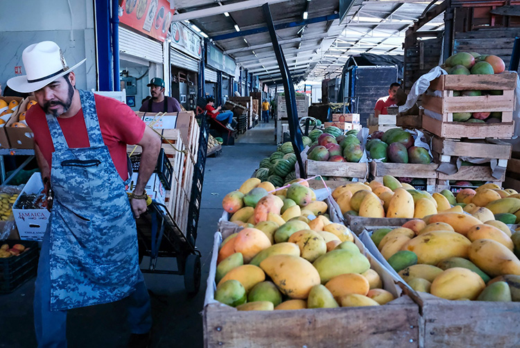 Anuncian plan de sanidad para el mango