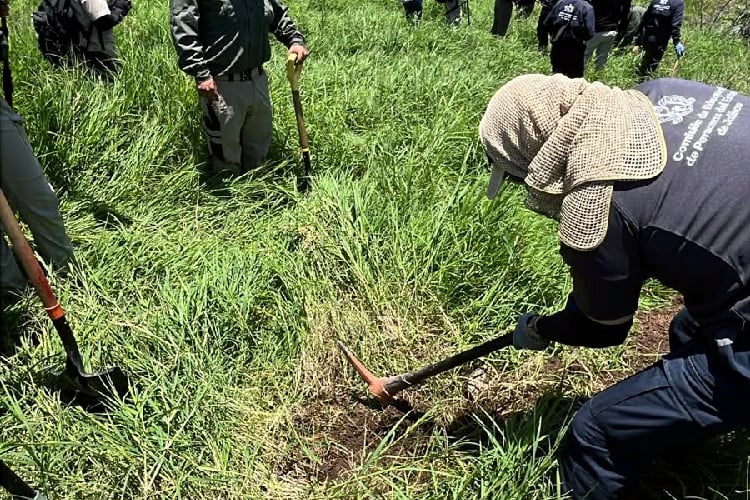Hallan restos óseos en terreno de Lomas de la Primavera en Zapopan