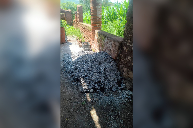Fiscalía dice que huesos hallados en Ayutla son de animales; colectivo exige continuar peritajes
