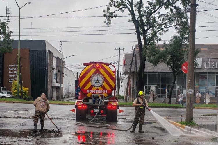 Tormenta deja árboles caídos, inundaciones y daños materiales en la ZMG