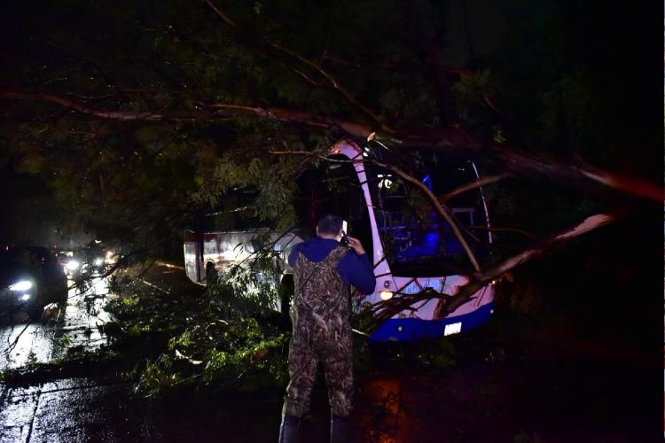 Lluvias dejan 138 servicios de emergencia y 114 árboles caídos en ZMG