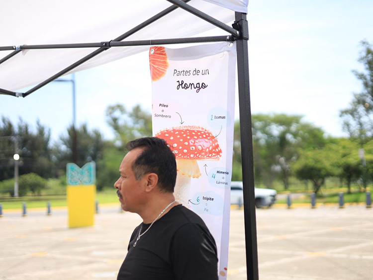 Promueven conocimiento sobre hongos en festival