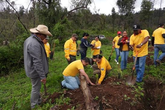 Jalisco se suma a campaña nacional de reforestación