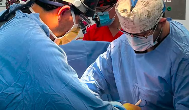 IMSS Jalisco concreta dos donaciones multiorgánicas
