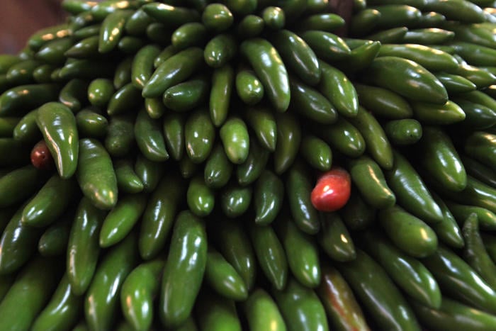 Investigan brote de salmonela en EU vinculado a jalapeños mexicanos
