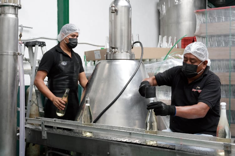 Busca SEDECO derribar barreras de certificación para 500 PyMEs jaliscienses