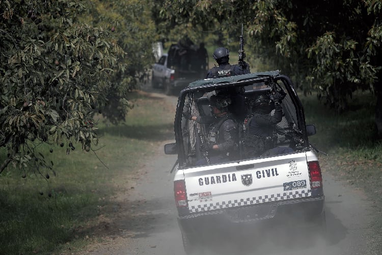 Cae 'El Vikingo', ex boxeador ligado al CJNG y a la extorsión de aguacateros en Michoacán