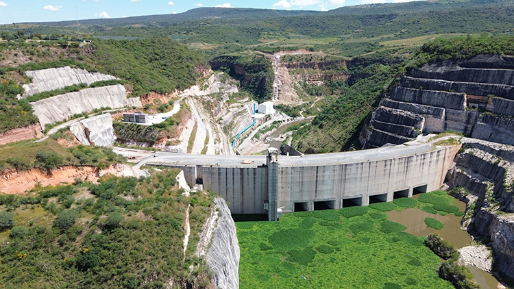 Presa El Zapotillo, cubierta de lirio