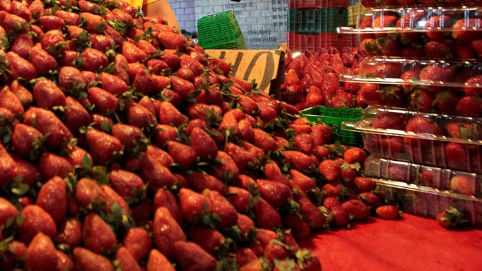 CNA acusa a EU de violar el T-MEC por señalamiento de dumping a fresas mexicanas