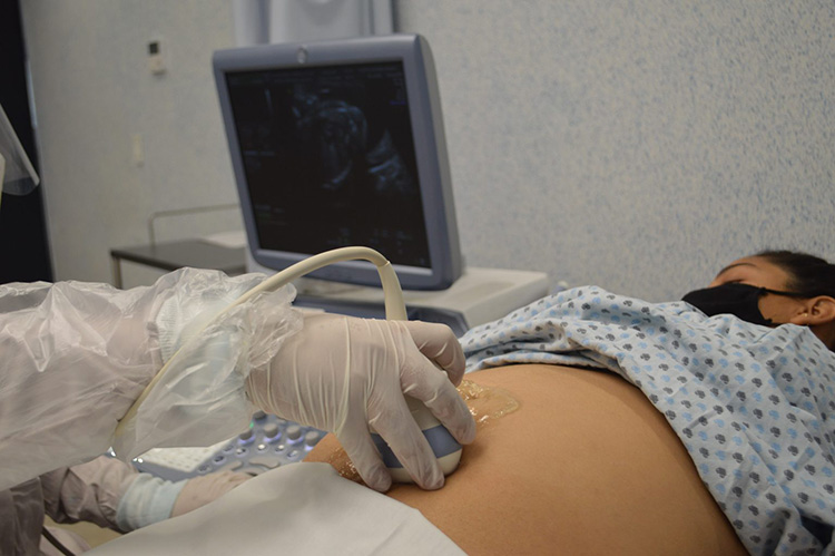Registran mil 233 muertes fetales en 2025