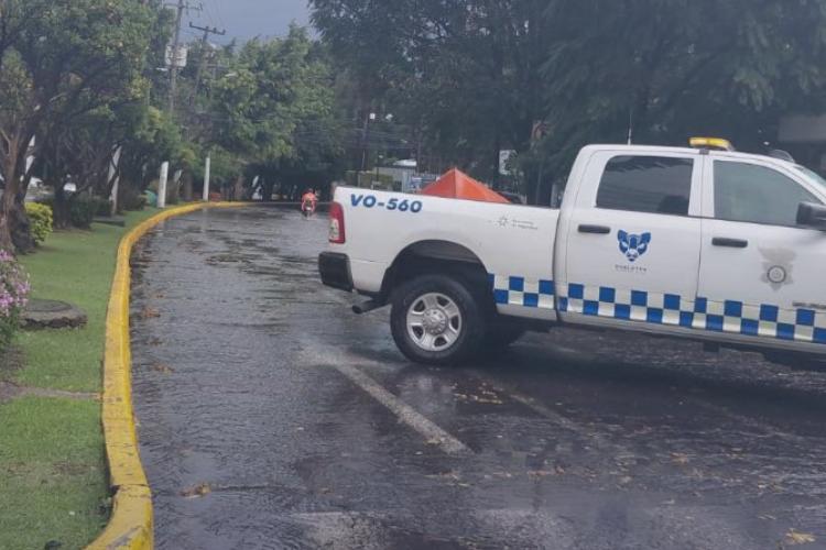 Lluvias dejan 12 árboles caídos y dos socavones en Jalisco