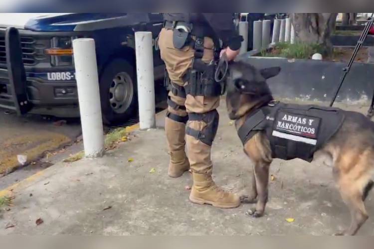 Estudiante de secundaria llevaba arma en su mochila