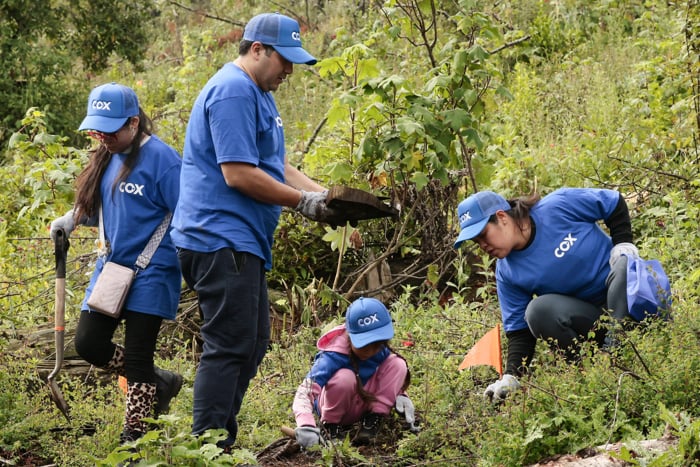 Inician campaña de reforestación en seis estados
