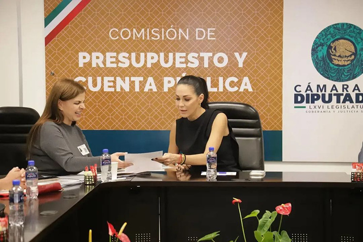 Gestiona Planter presupuesto para 2027
