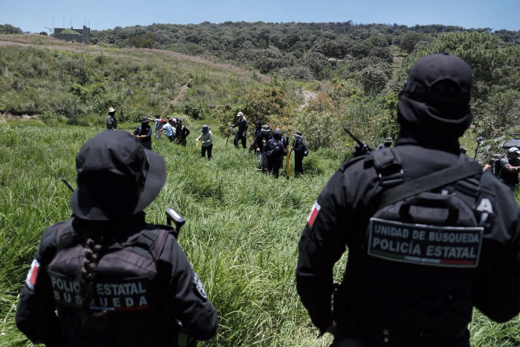 En una semana localizan a 24 personas con ficha de búsqueda; 7 sin vida