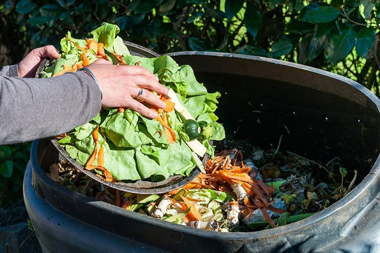 Avanza reforma vs. desperdicio de alimentos 