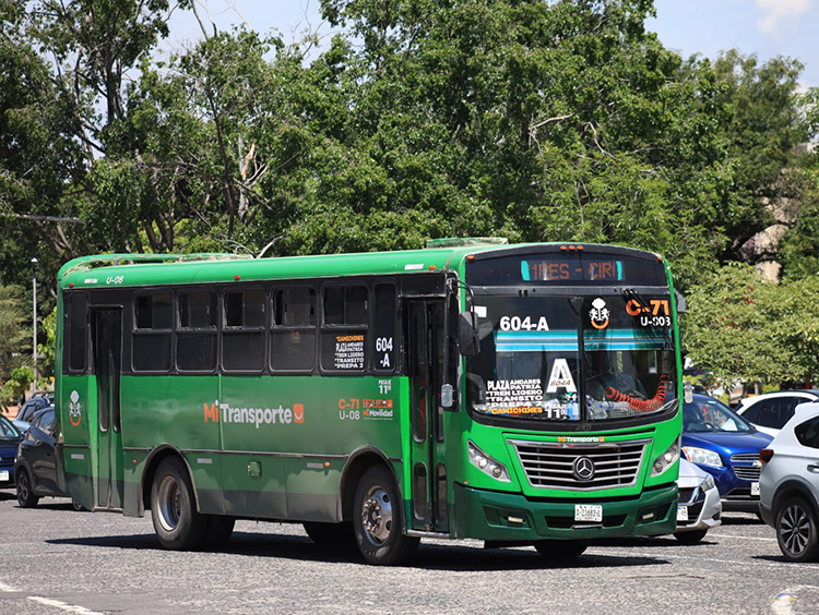 Deficiente, ruta 604-A