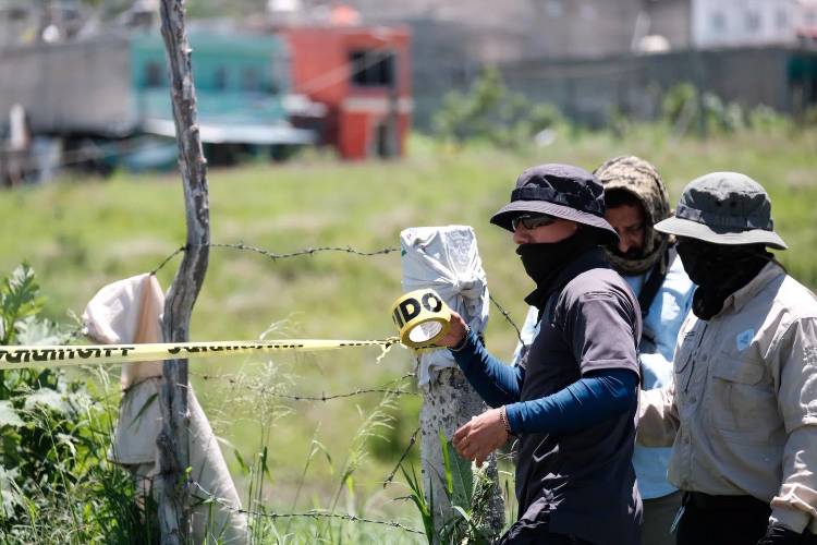 Reportan 31 personas localizadas; seis, sin vida