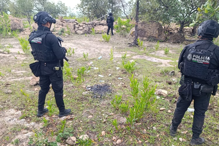 Instalarán módulo permanente de Policía Estatal en San Andrés Cohamiata
