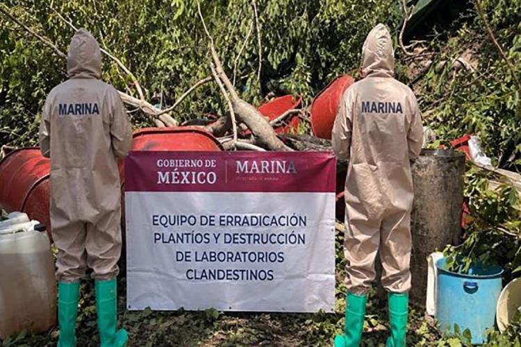Operativos en Sinaloa y Nayarit dejan ocho detenidos y aseguran armas y explosivos