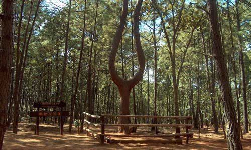 Utilizan tecnologíaante impacto de incendios 
