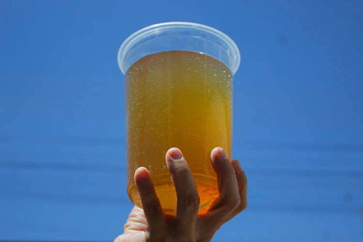 Buscan firmas para comparecencia pública sobre calidad del agua