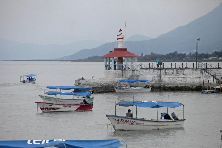 Por falta de yodo; Chapala concentra mayor riesgo de cáncer tiroideo