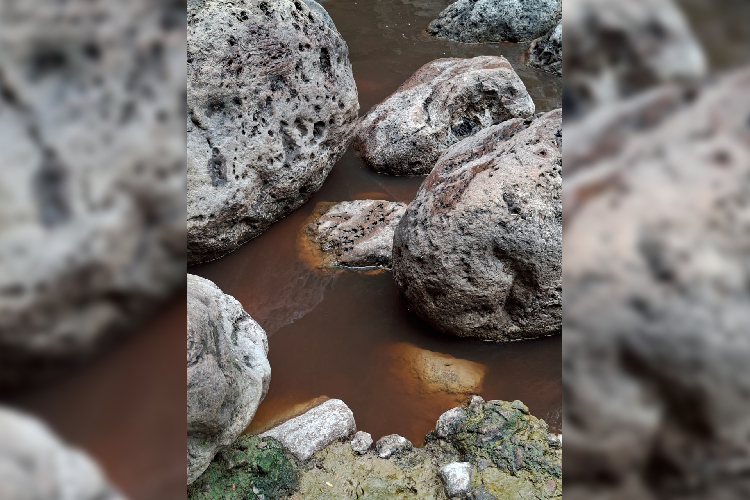 Contaminación por lixiviados en Picachos es un riesgo latente para todo el AMG