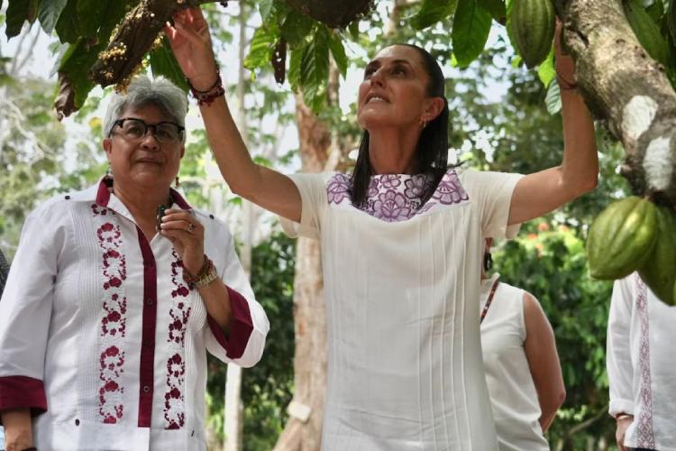 Gobierno federal invertirá 126 mdp en planta de cacao en Tabasco