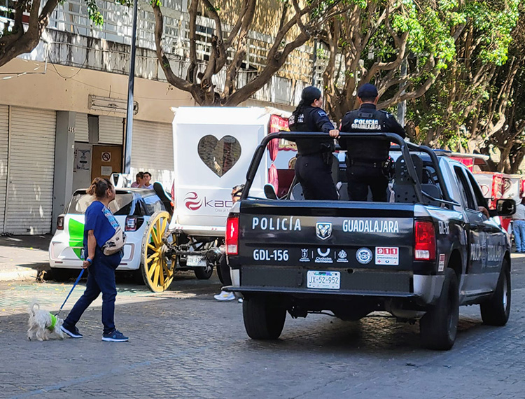 Hay menos detenidos por delitos y más por faltas 