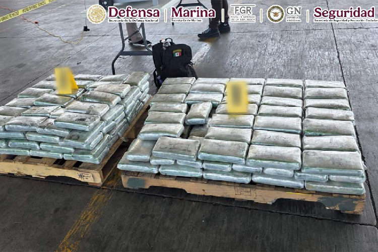 Aseguran 341 kilos de droga en Sonora y Baja California