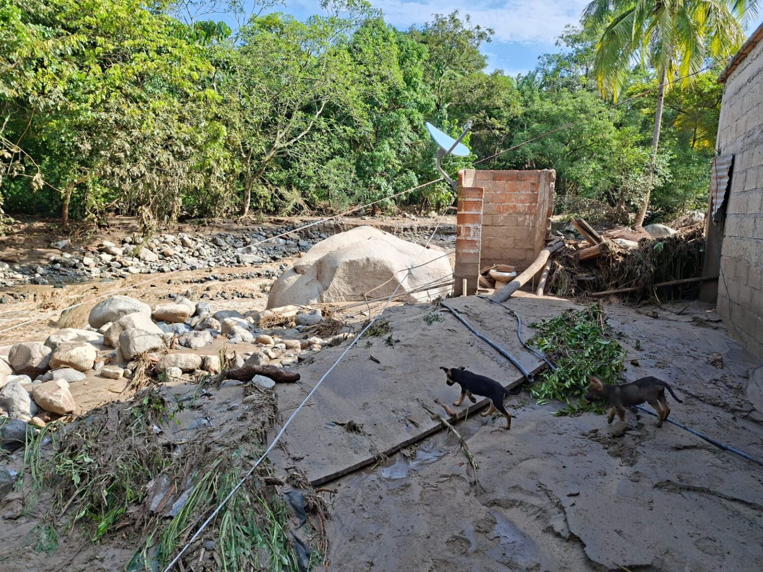 Localizan cuarto cuerpo de familia arrastrada por arroyo en Talpa; sube número de fincas dañadas