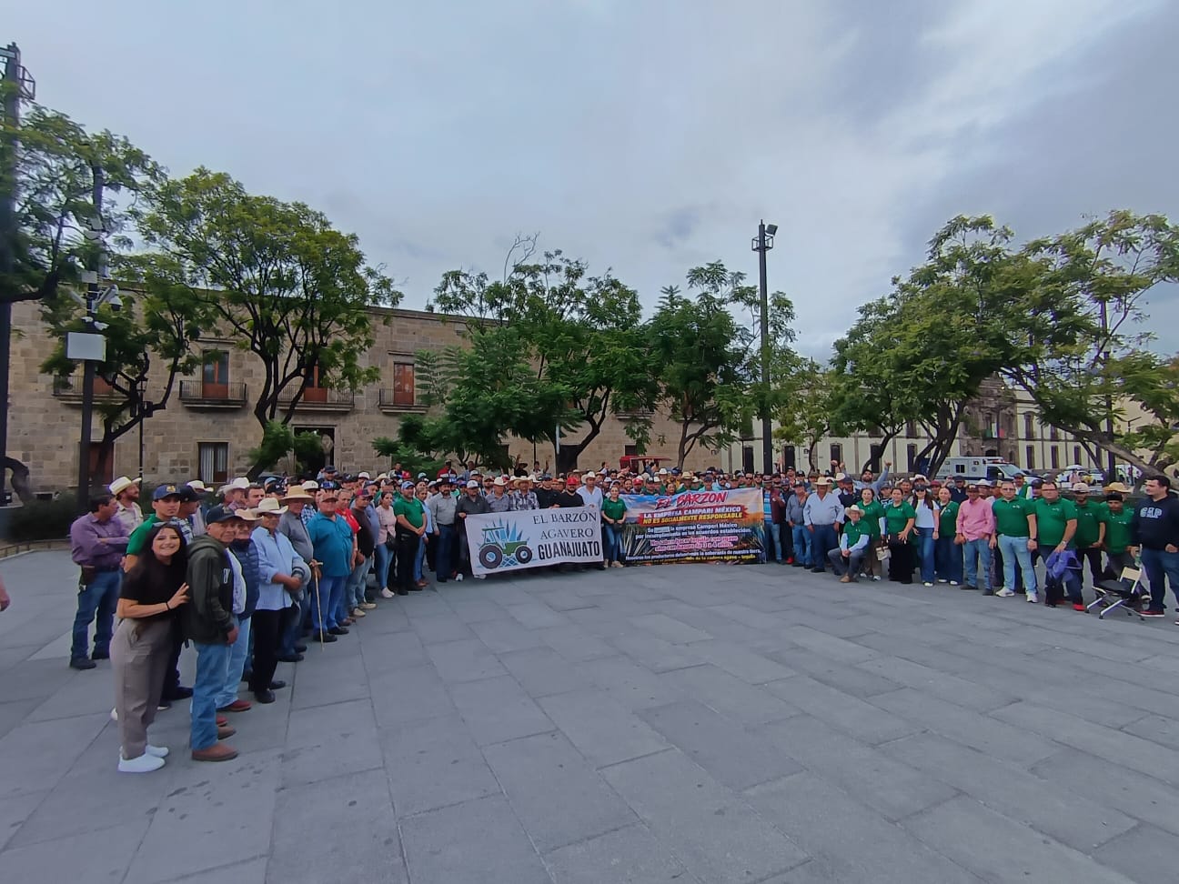 Productores de agave exigen reglas para ordenar la cadena agave-tequila