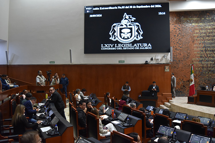 Van 33 aspirantes por 7 vacantes en Consejo de Participación Ciudadana