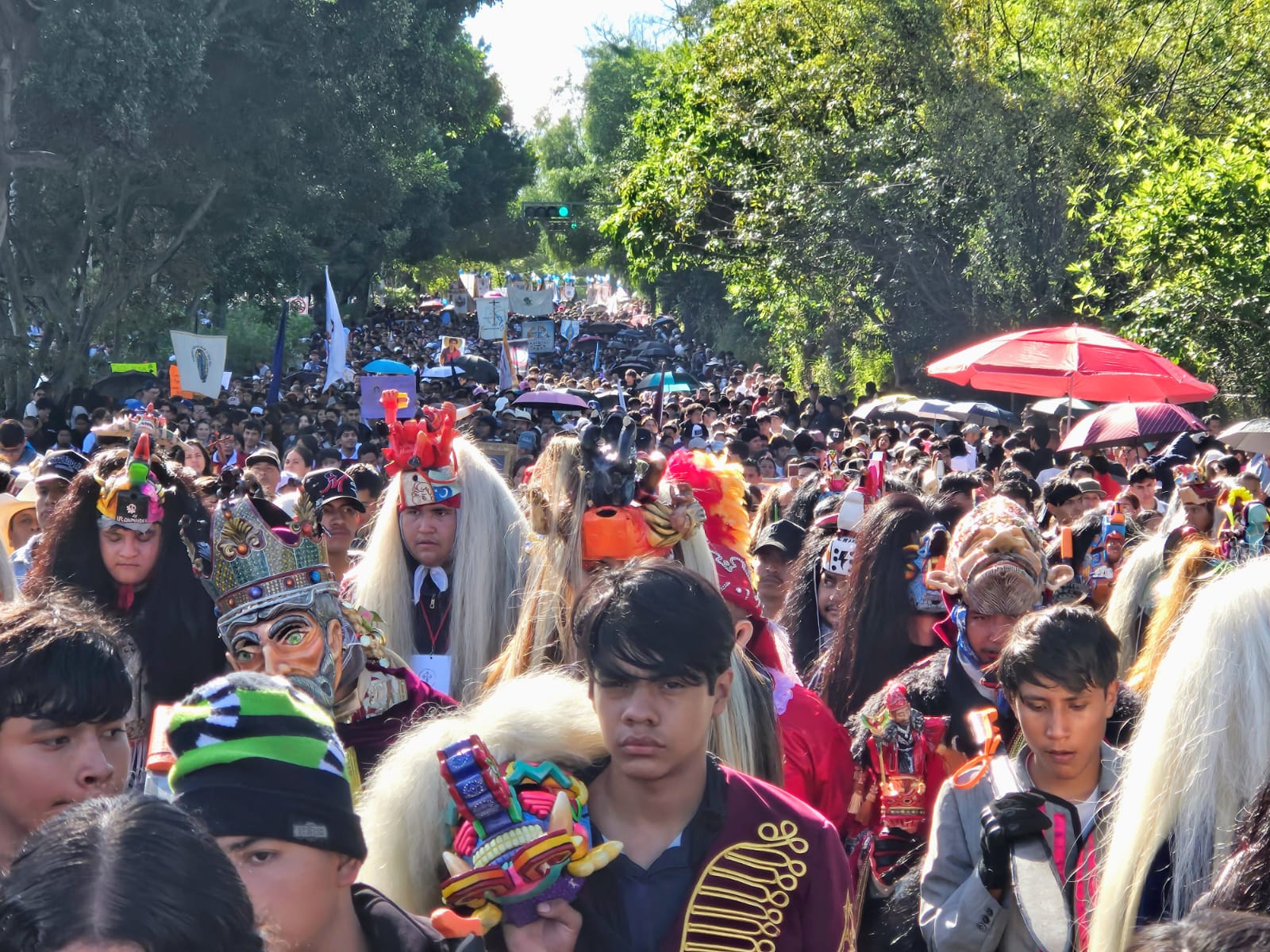 Cae asistencia en la Romería de Zapopan 2026; reportan un millón de fieles