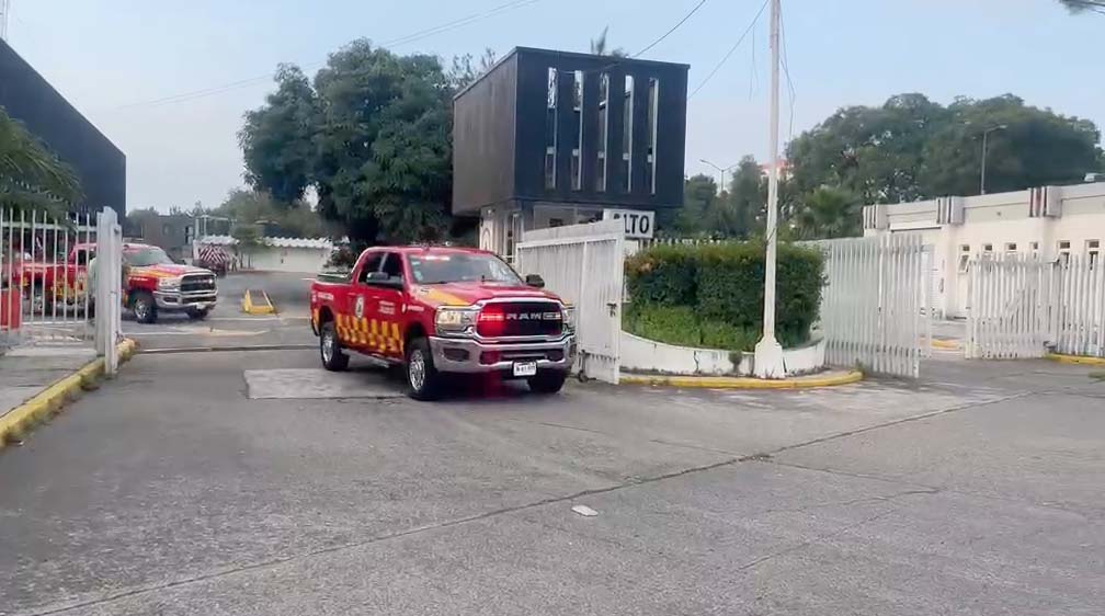 ‘Trudy’ se intensifica