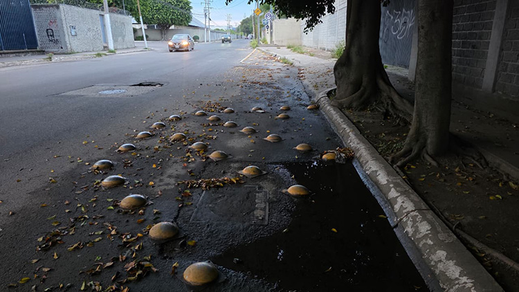 Reportan fuga de agua y fallas en semáforos afuera de Prepa 15